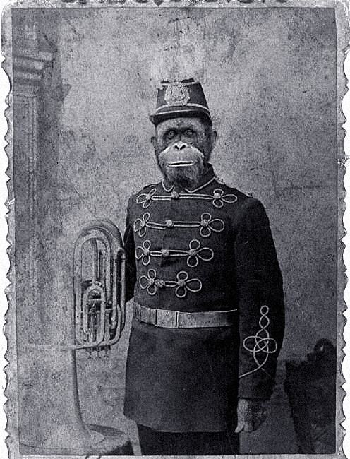 Photoshop Design by eduj65 for DesignCrowd (Community Contests) | Design #9097021