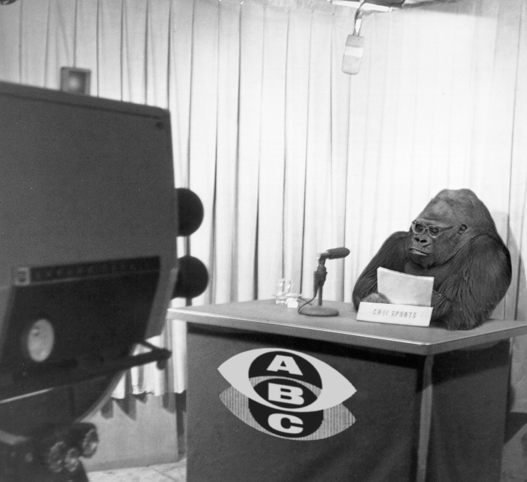 Photoshop Design by duragg for DesignCrowd (Community Contests) | Design #9096950