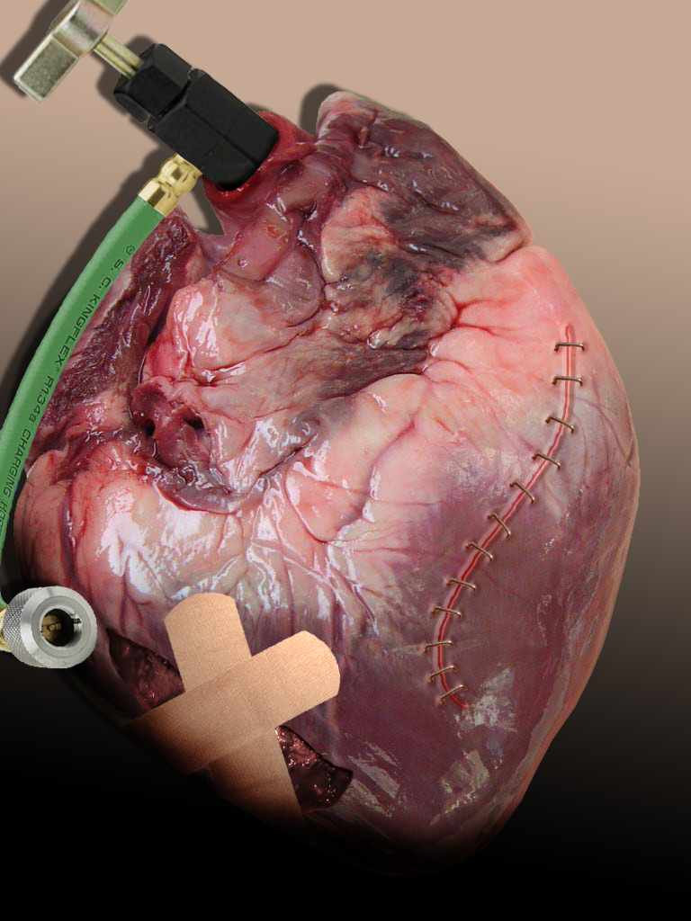 Photoshop Design by Mirado for DesignCrowd (Community Contests) | Design #9085141