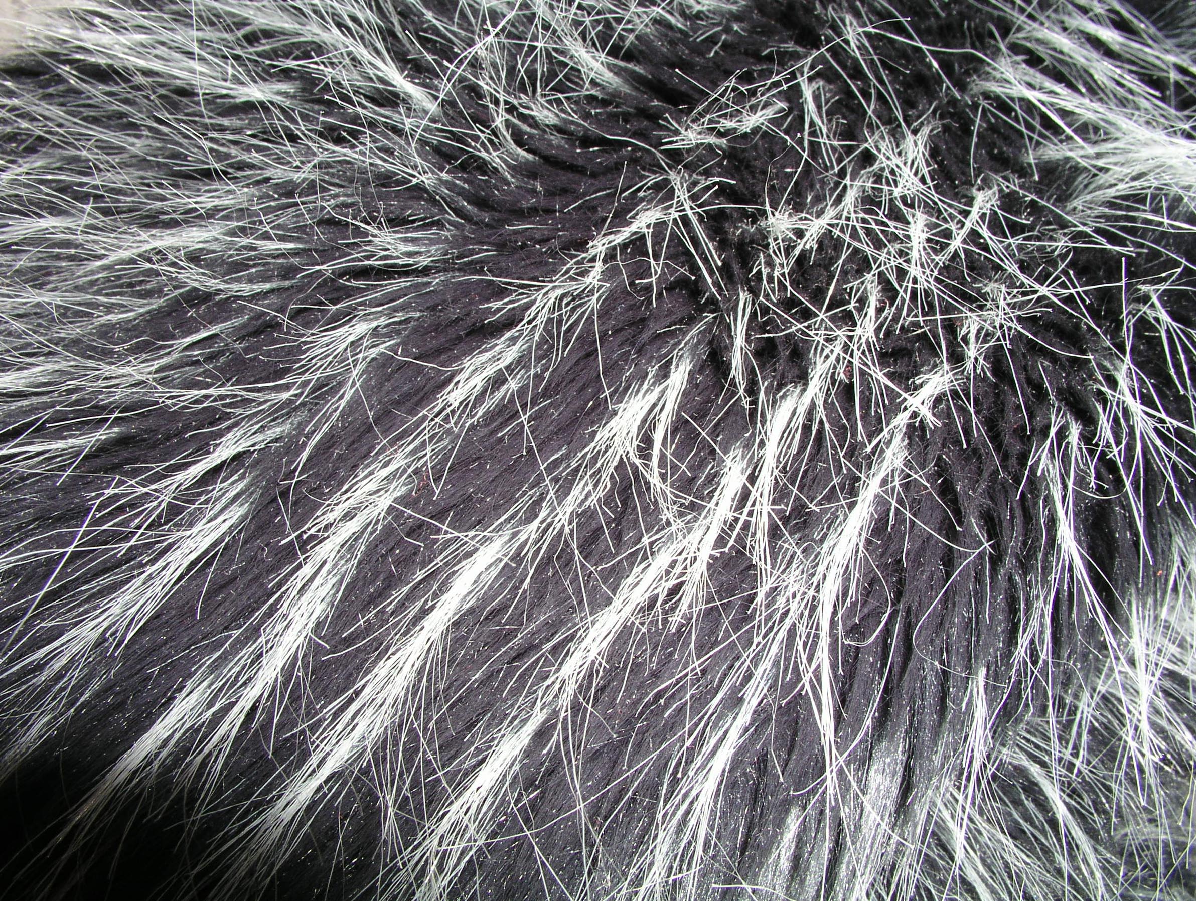 Photography by UPUPUP for DesignCrowd (Community Contests) | Design #9074395