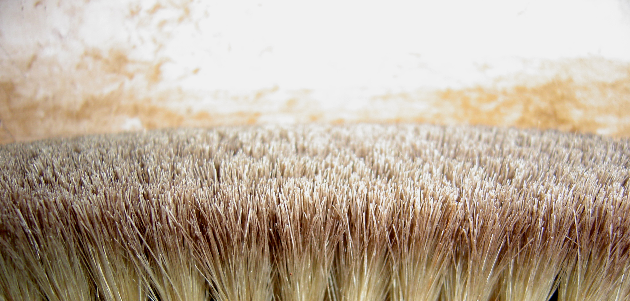 Photography by Claudio42 for DesignCrowd (Community Contests) | Design #9074431