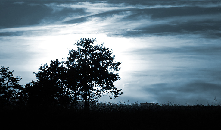 Photography by ataboy for DesignCrowd (Community Contests) | Design #9097988