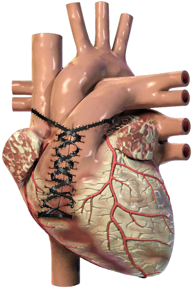 Design Photoshop par HeatherB pour DesignCrowd (Community Contests) | Design #9085286