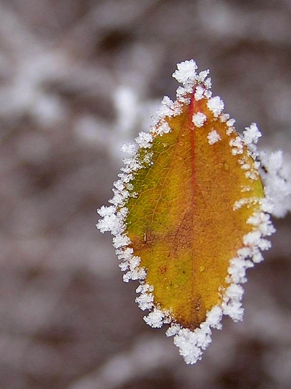 Photography by TyChO for DesignCrowd (Community Contests) | Design #9096168