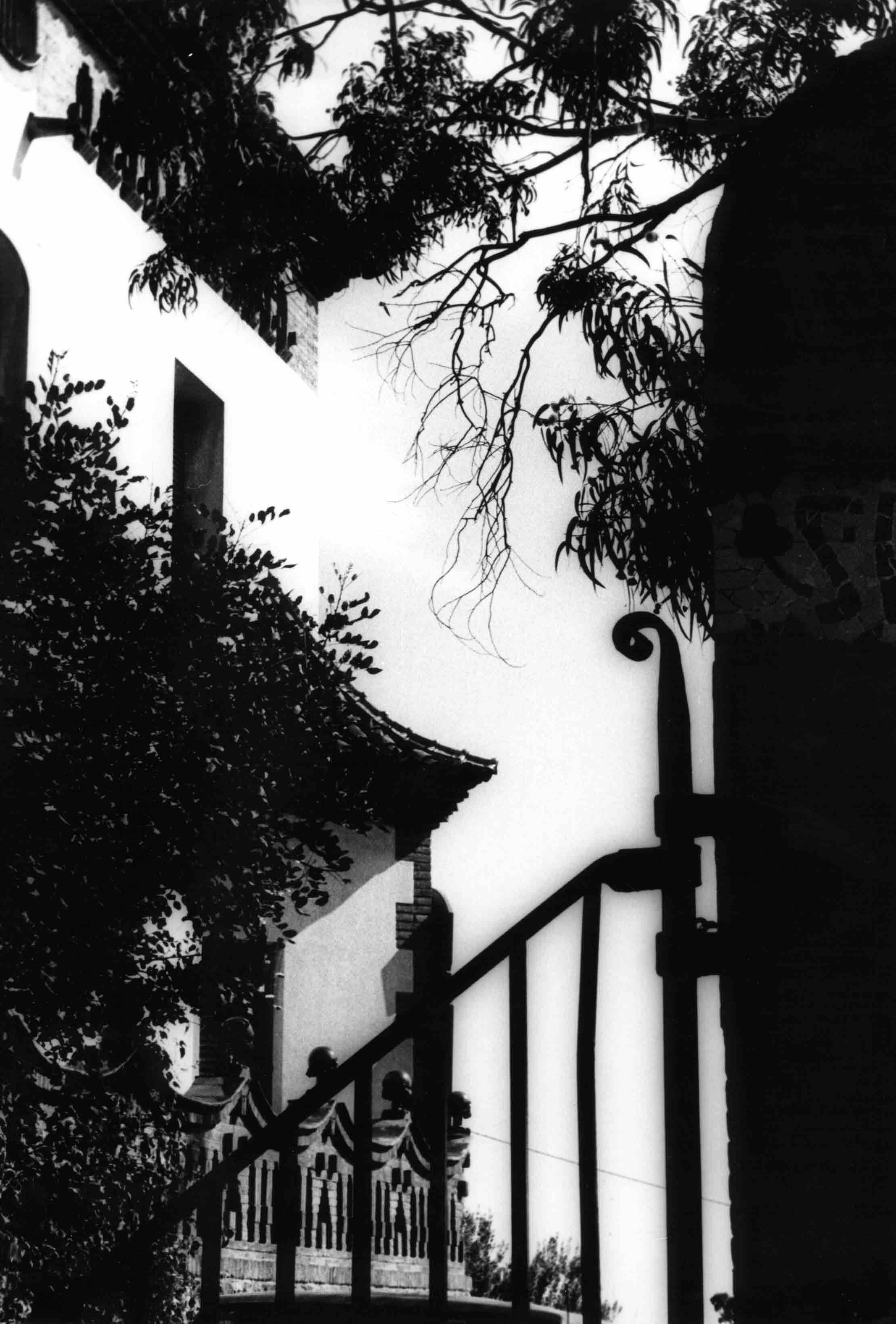 Photographie par jklopfer pour DesignCrowd (Community Contests) | Design #9097854