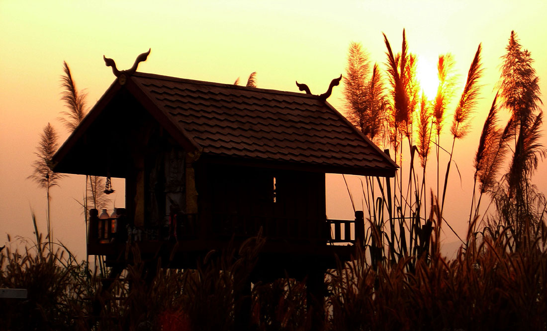 Photographie par OnionFighter243 pour DesignCrowd (Community Contests) | Design #9097925