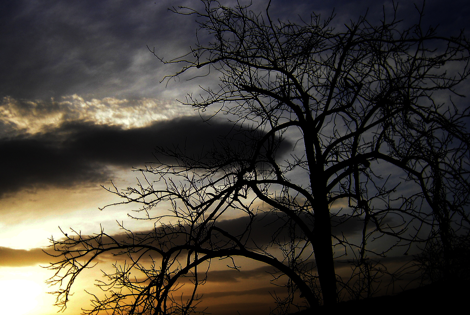 Photography by Phrenytz for DesignCrowd (Community Contests) | Design #9098086