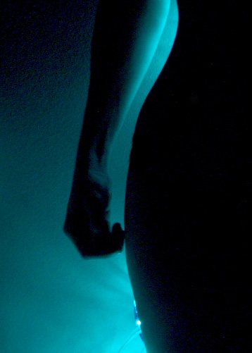 Photographie par HeatherHostage pour DesignCrowd (Community Contests) | Design #9098030