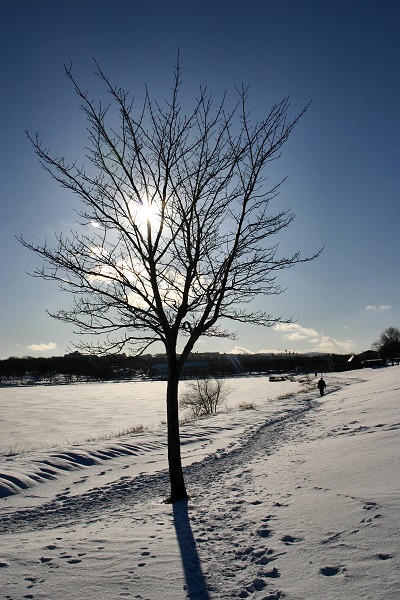 Photography by KarenC for DesignCrowd (Community Contests) | Design #9098046