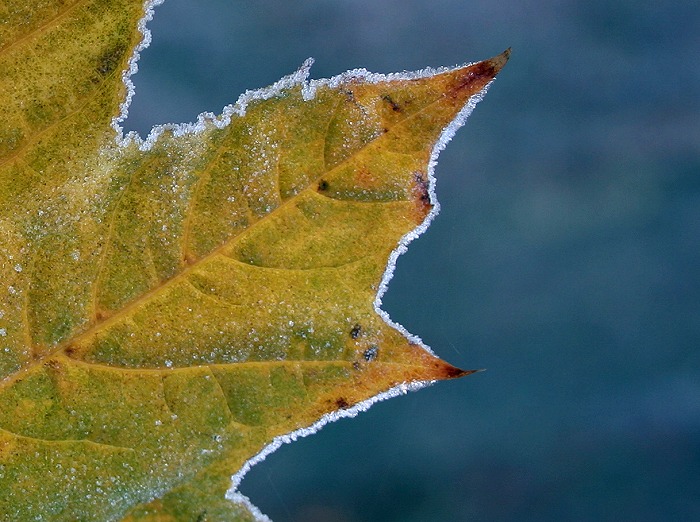 Photographie par KarenC pour DesignCrowd (Community Contests) | Design #9096190