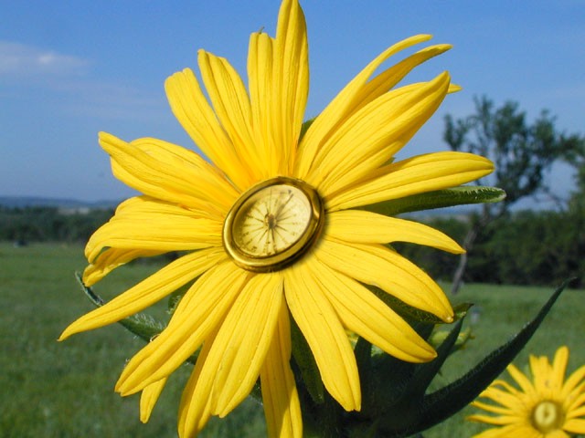 Diseño de Photoshop por clenci para DesignCrowd (Community Contests) | Diseño #9097286