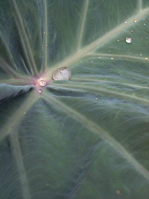 Fotografía por digiteyes para DesignCrowd (Community Contests) | Diseño #9096192