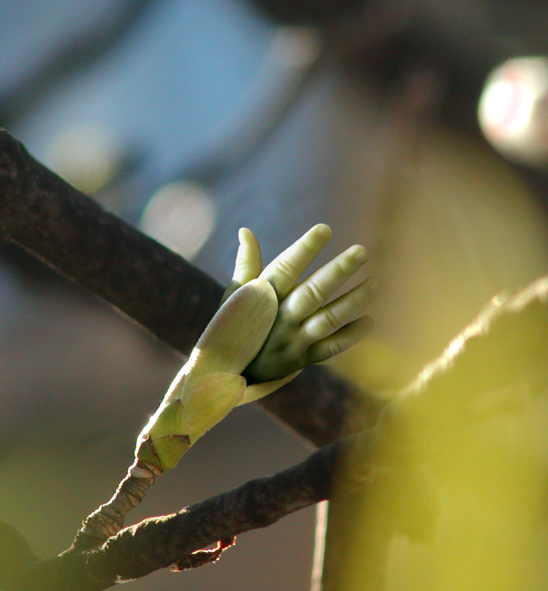 Photoshop-Design von Budmiester für DesignCrowd (Community Contests) | Design #9097301