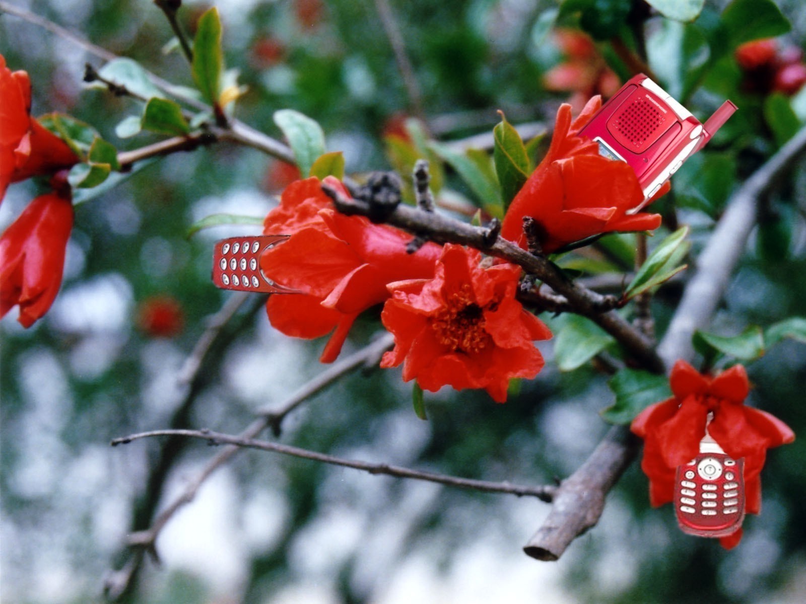 Photoshop Design by diegogualda for DesignCrowd (Community Contests) | Design #9097313