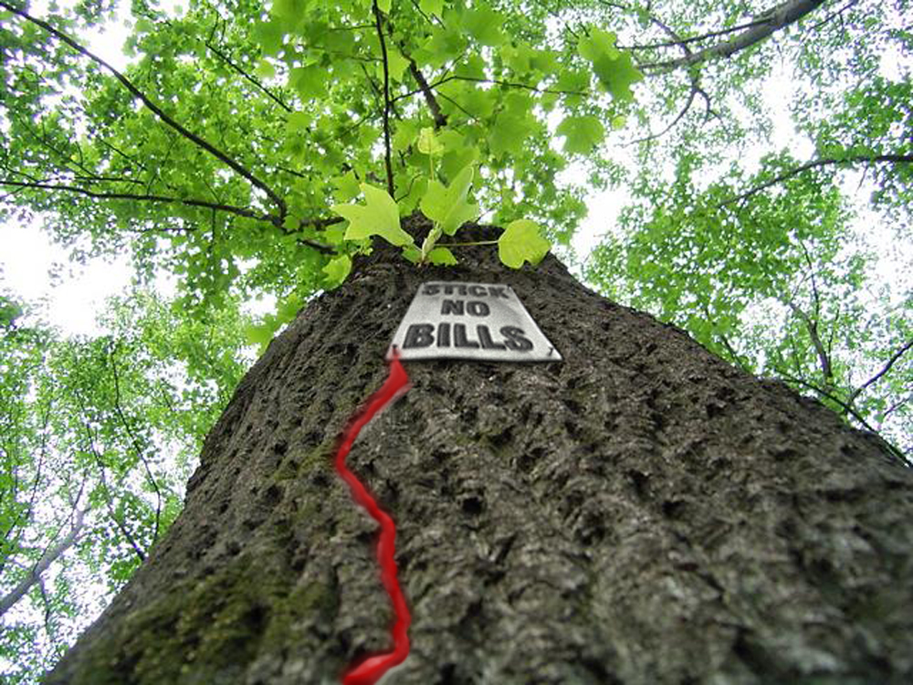 Photoshop Design by kavaweb for DesignCrowd (Community Contests) | Design #9097389