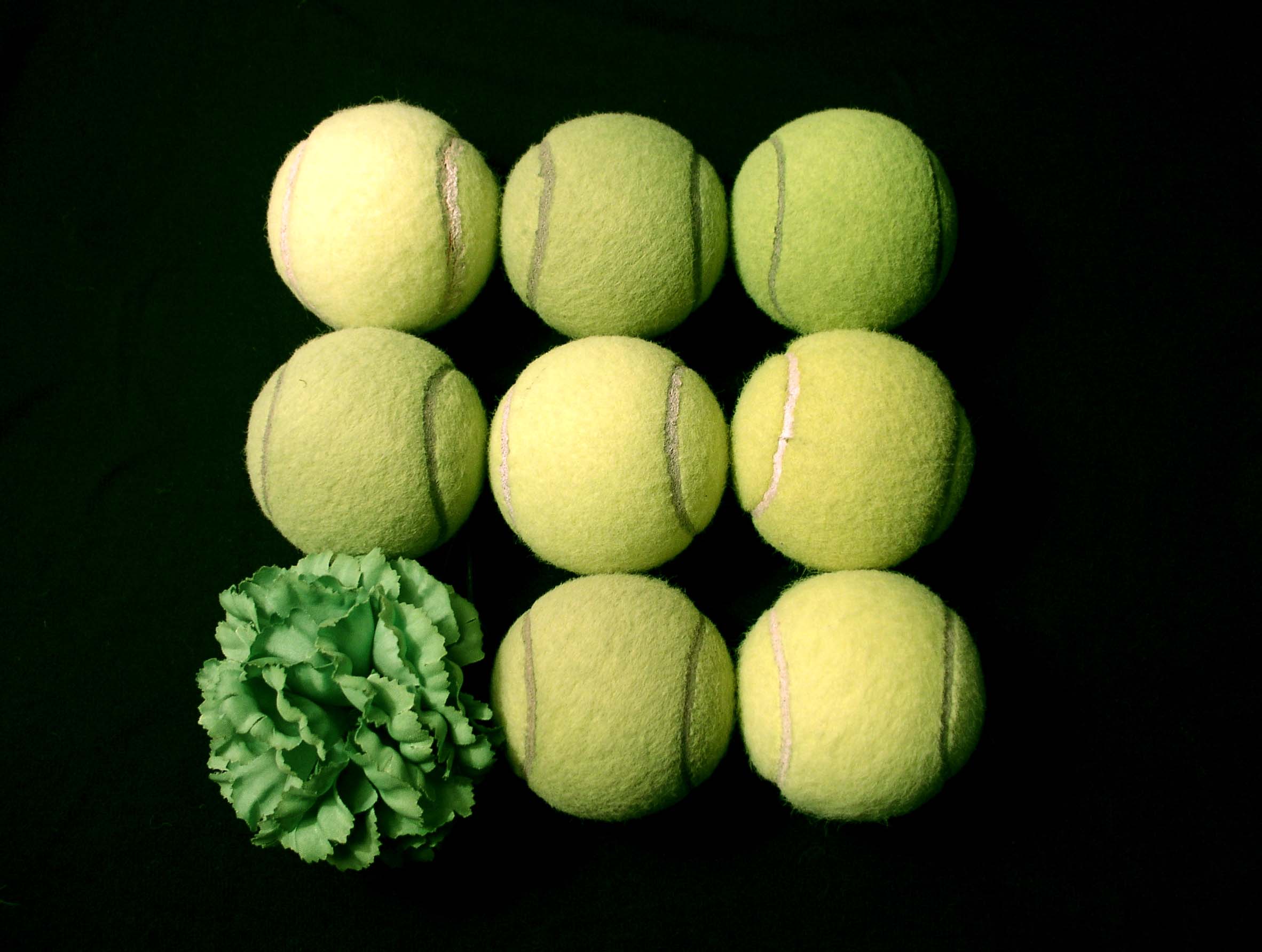 Photography by UPUPUP for DesignCrowd (Community Contests) | Design #9096775