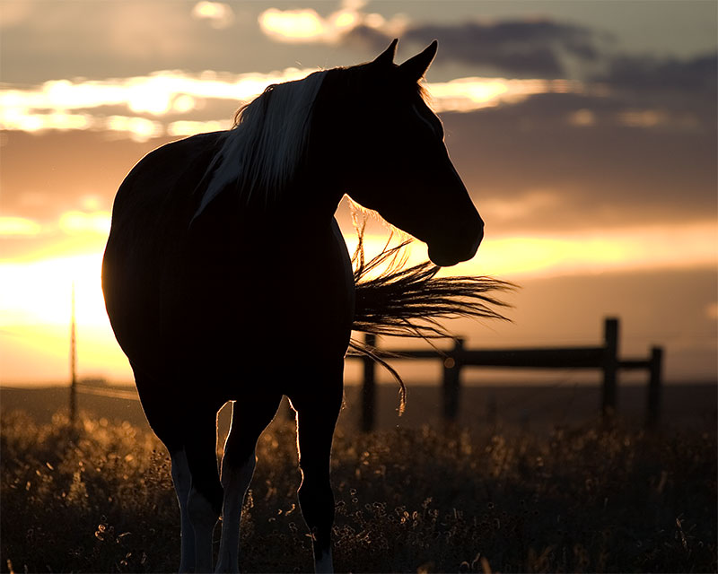 Photography by BadRussian for DesignCrowd (Community Contests) | Design #9098059