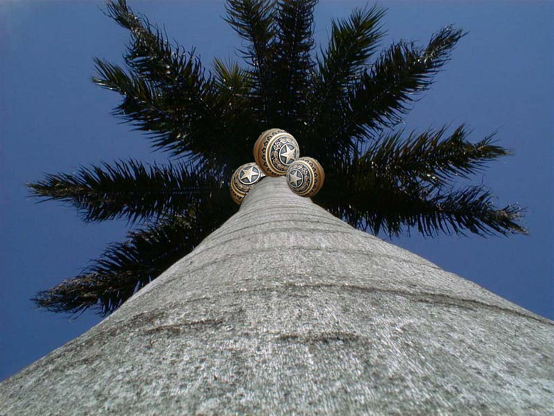 Diseño de Photoshop por absguft para DesignCrowd (Community Contests) | Diseño #9097371