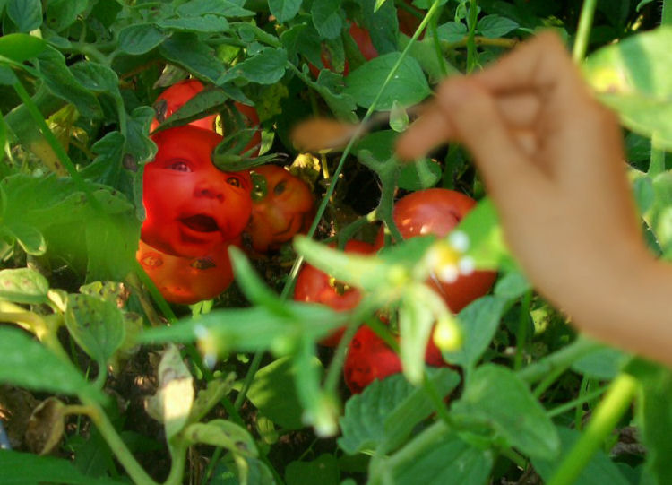 Design Photoshop par srt19170 pour DesignCrowd (Community Contests) | Design #9097375