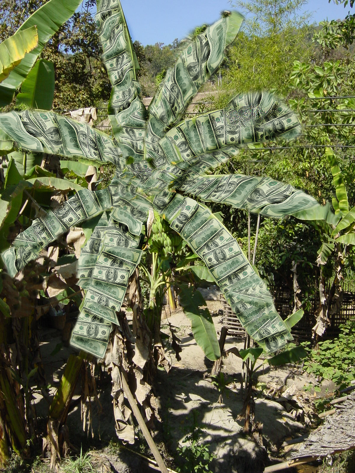 Design Photoshop par couldb5150 pour DesignCrowd (Community Contests) | Design #9097446