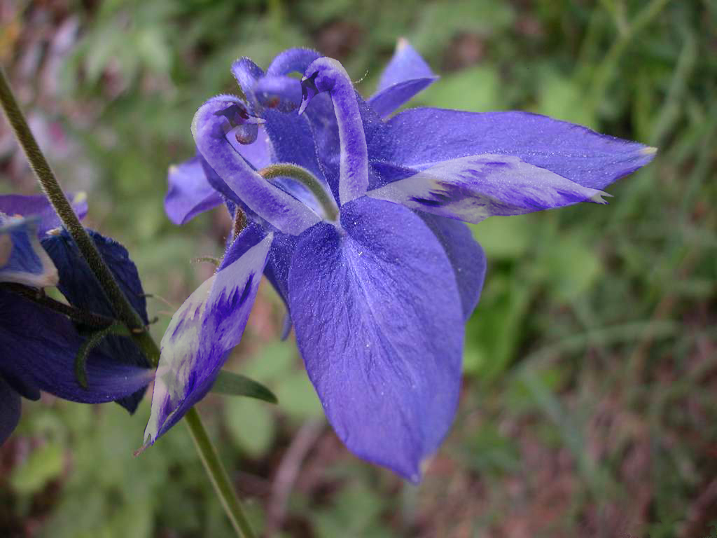 Photoshop Design by Sammyy for DesignCrowd (Community Contests) | Design #9097452