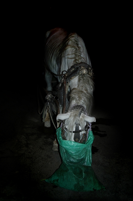 Photographie par glaurent pour DesignCrowd (Community Contests) | Design #9099687