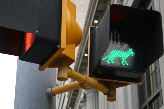 Diseño de Photoshop por clenci para DesignCrowd (Community Contests) | Diseño #9097840