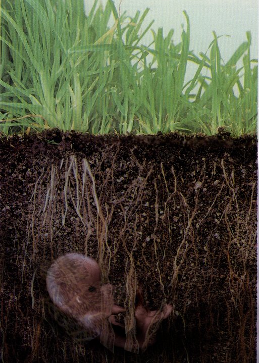 Photoshop Design by CheckMinus for DesignCrowd (Community Contests) | Design #9097444