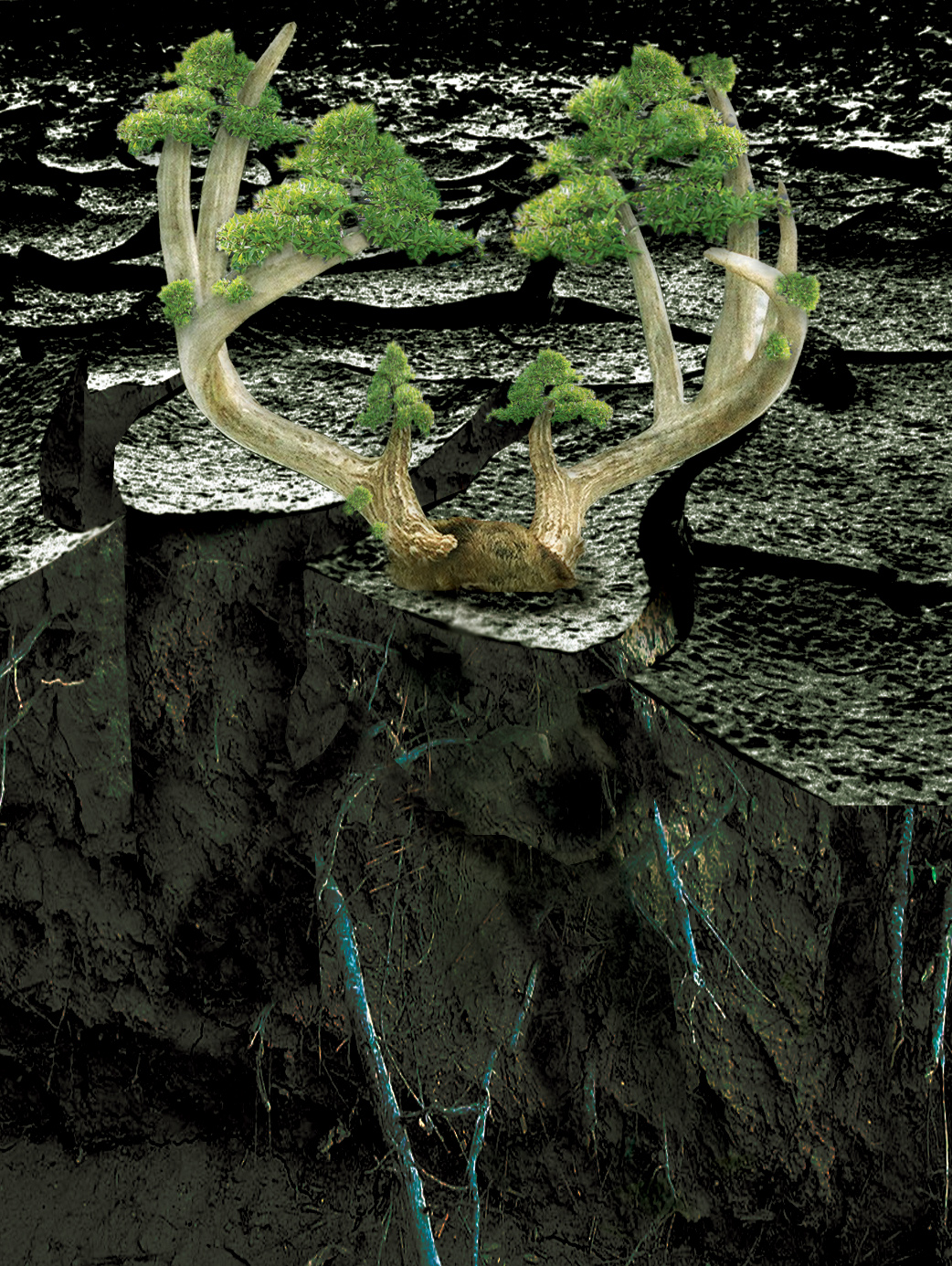 Photoshop-Design von zulittle für DesignCrowd (Community Contests) | Design #9097423