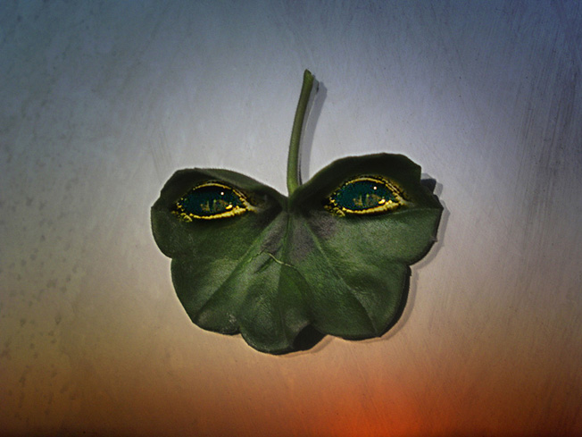 Photoshop Design by resquin for DesignCrowd (Community Contests) | Design #9097422