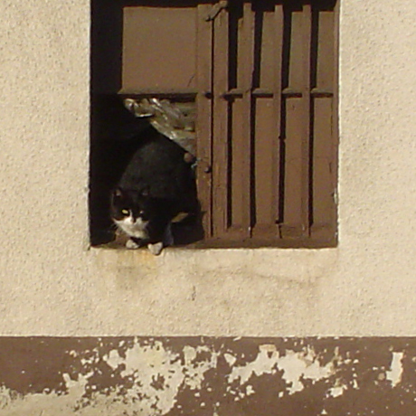 Fotografie von AlinaB7 für DesignCrowd (Community Contests) | Design #9094942