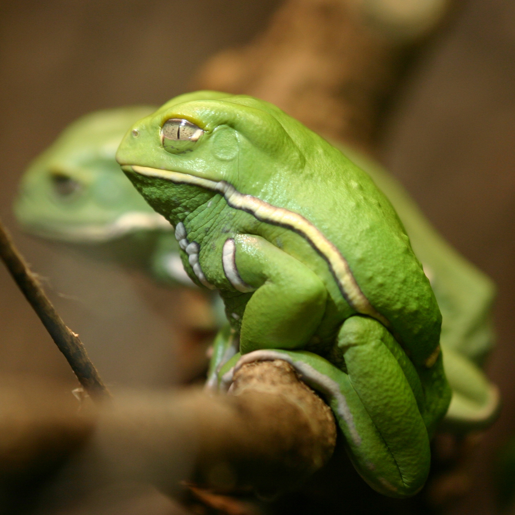 Photography by jiwasz for DesignCrowd (Community Contests) | Design #9094939