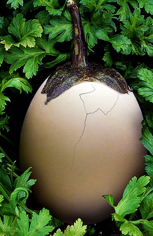 Photoshop Design by theLimeyBrit for DesignCrowd (Community Contests) | Design #9097407