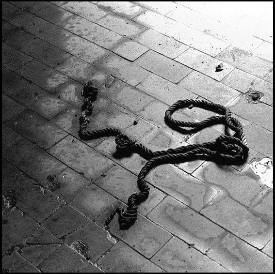 Photography by motion for DesignCrowd (Community Contests) | Design #9094961