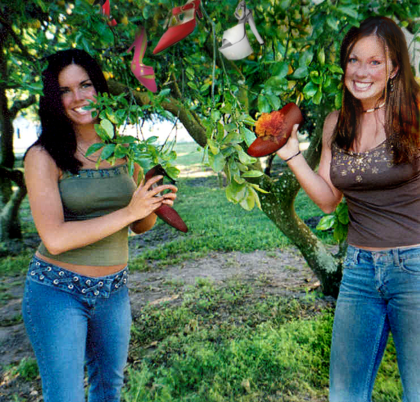 Photoshop Design by sandviktus for DesignCrowd (Community Contests) | Design #9097567