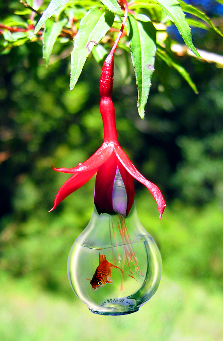 Photoshop Design by chris_ for DesignCrowd (Community Contests) | Design #9097479