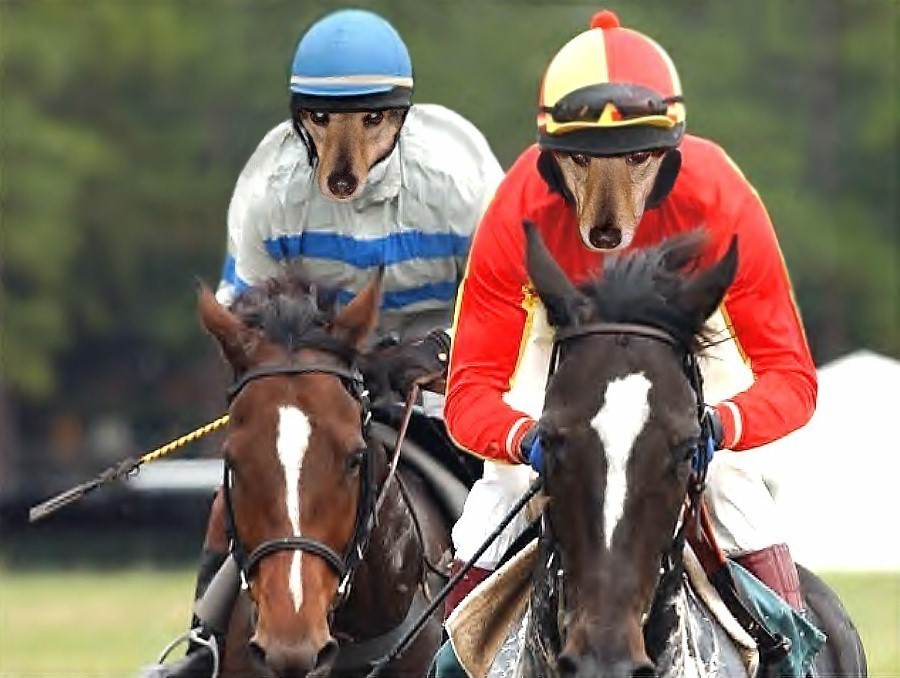 Photoshop Design by TerryLea for DesignCrowd (Community Contests) | Design #9097958