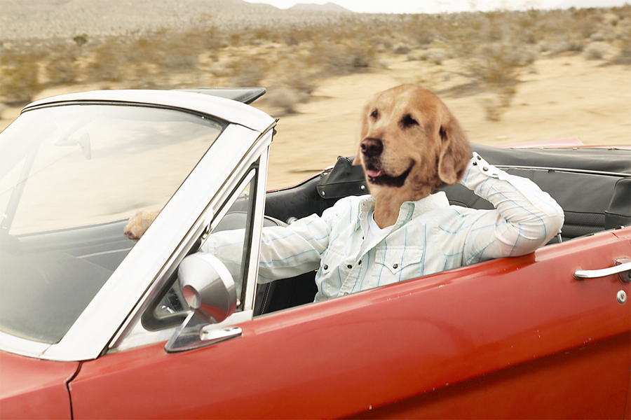 Photoshop Design by echoburst for DesignCrowd (Community Contests) | Design #9097928