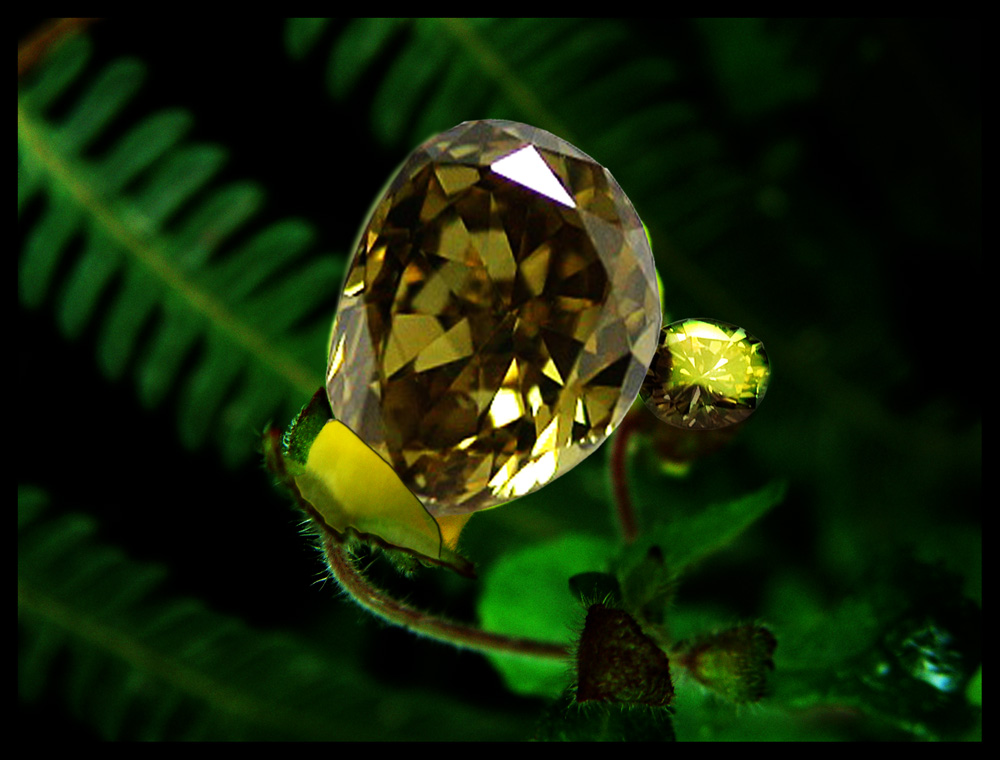 Diseño de Photoshop por Angeldrop para DesignCrowd (Community Contests) | Diseño #9097524