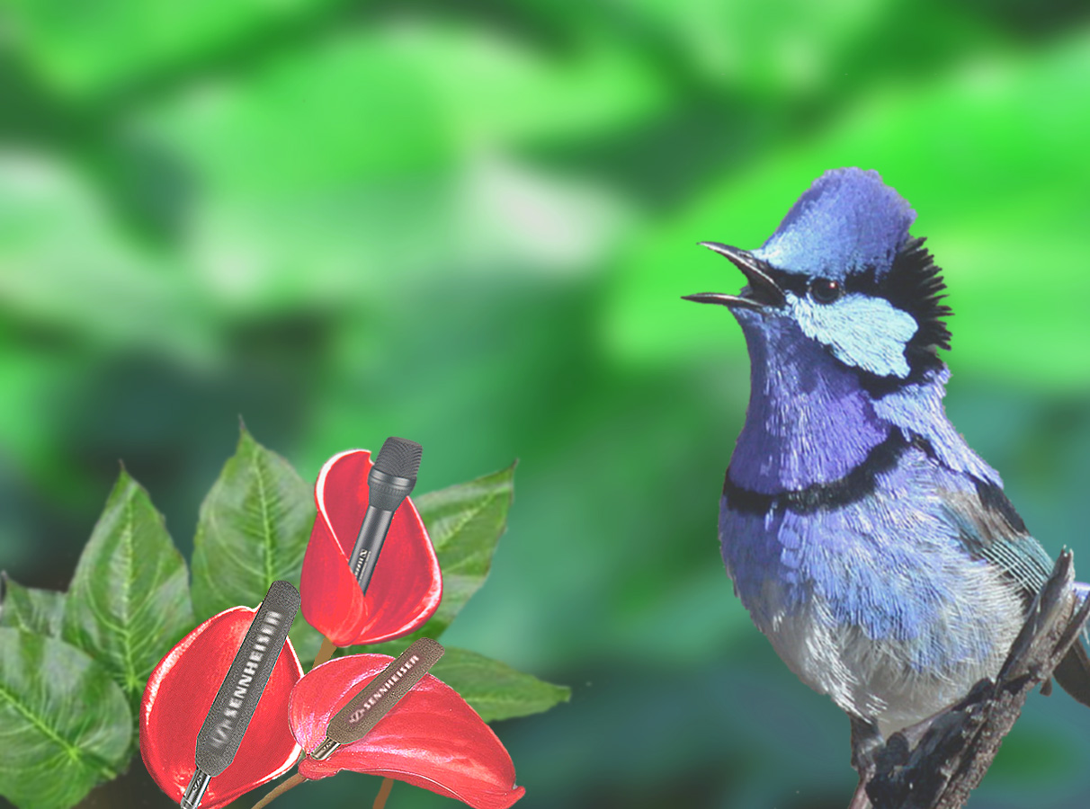 Photoshop Design by Design UnStudio for DesignCrowd (Community Contests) | Design #9097534