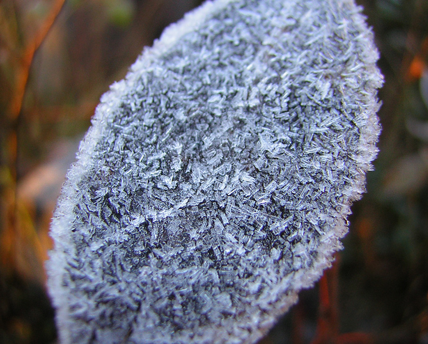 Fotografía por Rubbermonster para DesignCrowd (Community Contests) | Diseño #9096270