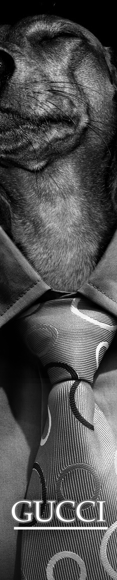 Photoshop-Design von newevildesign für DesignCrowd (Community Contests) | Design #9097992