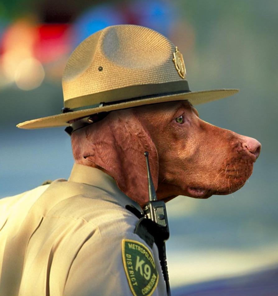 Photoshop Design by digammo for DesignCrowd (Community Contests) | Design #9097960