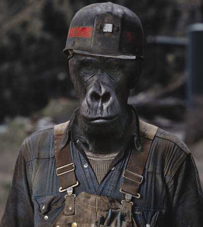 Photoshop Design by echoburst for DesignCrowd (Community Contests) | Design #9096543