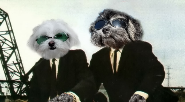 Photoshop Design by modine for DesignCrowd (Community Contests) | Design #9097924