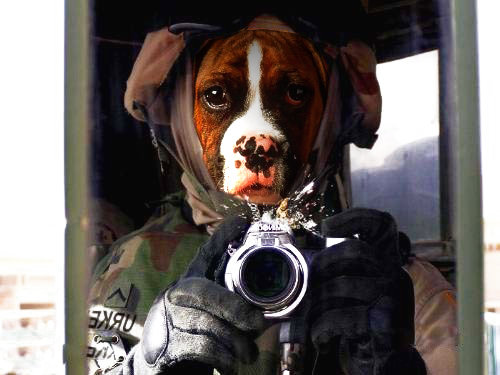 Photoshop Design by Sammyy for DesignCrowd (Community Contests) | Design #9097983