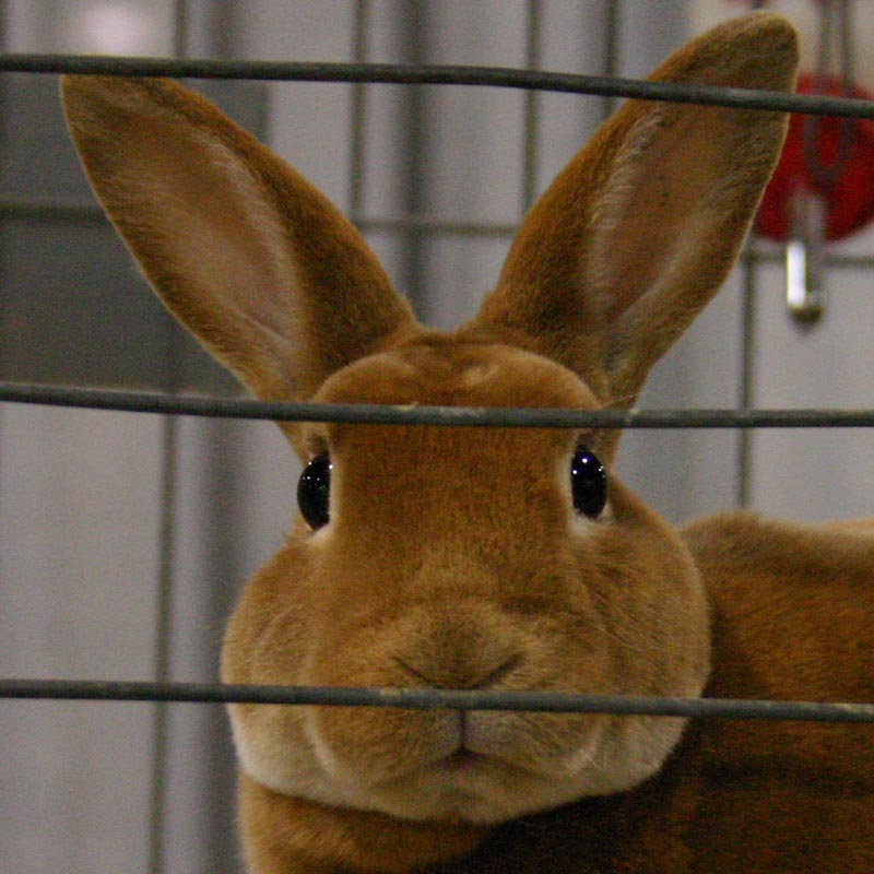 Photographie par rdchdwck pour DesignCrowd (Community Contests) | Design #9094952