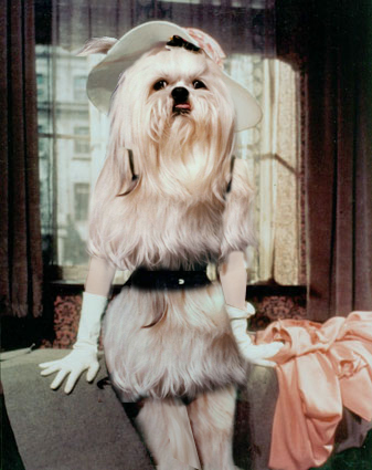 Diseño de Photoshop por Mupshur para DesignCrowd (Community Contests) | Diseño #9098096