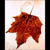 Photography by SigloV