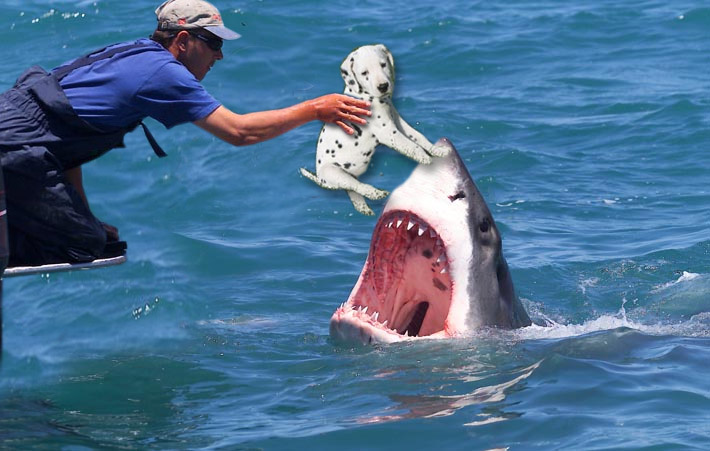 Diseño de Photoshop por fxchick para DesignCrowd (Community Contests) | Diseño #9096619